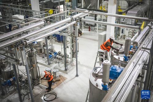 共話中國經(jīng)濟(jì)新機(jī)遇 中企助力西非可可王國產(chǎn)業(yè)升級(jí)