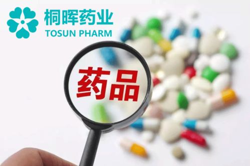 仿制藥項目技術轉讓與技術服務詳情